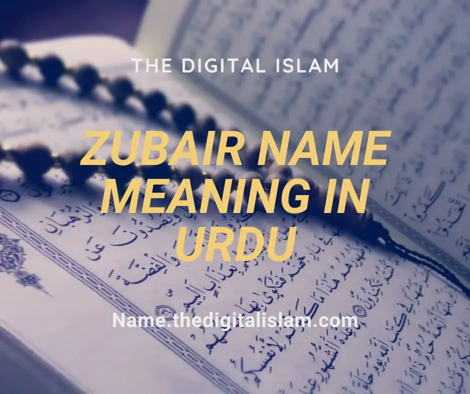 Zubair Name Meaning In Urdu