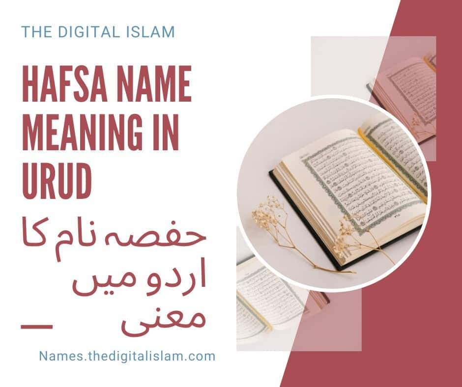 Hafsa Name Meaning In Urdu